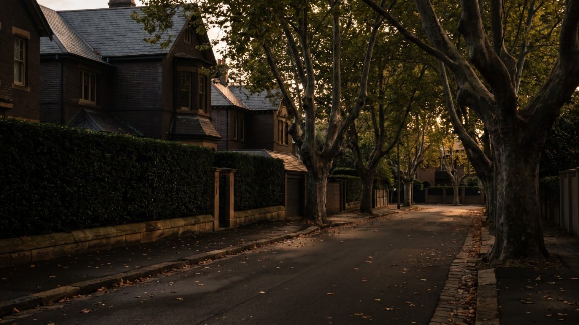 An empty street in an affluent Sydney suburb in late afternoon light
